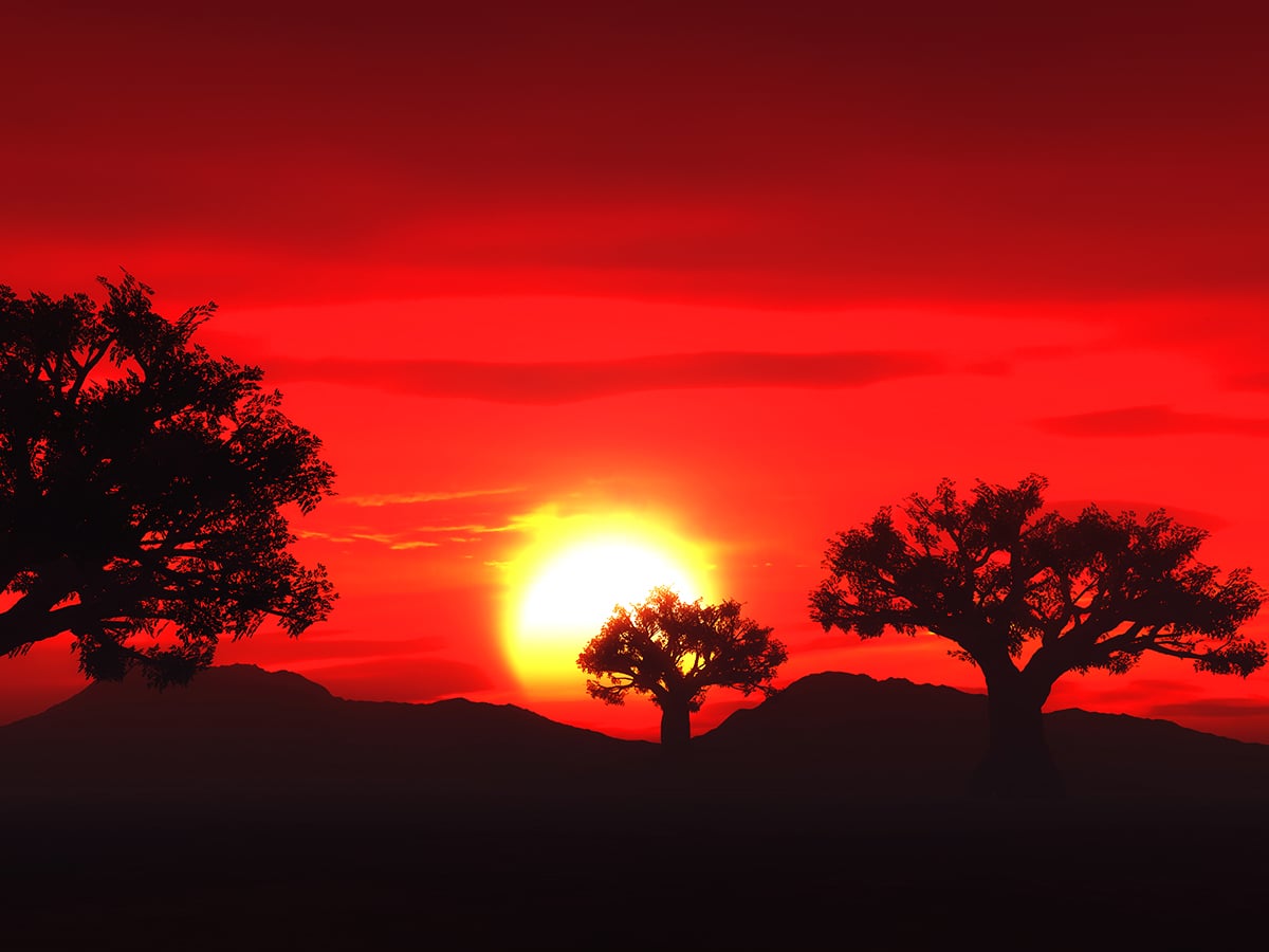 Protecting Our Planet: Why Investing in Protected Areas Is Essential for a Sustainable Future
