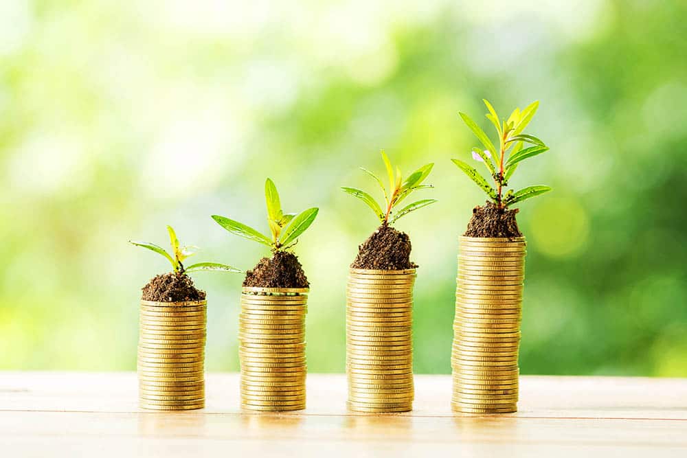 Secure Your Financial Future: The Power of Achieving Solvency