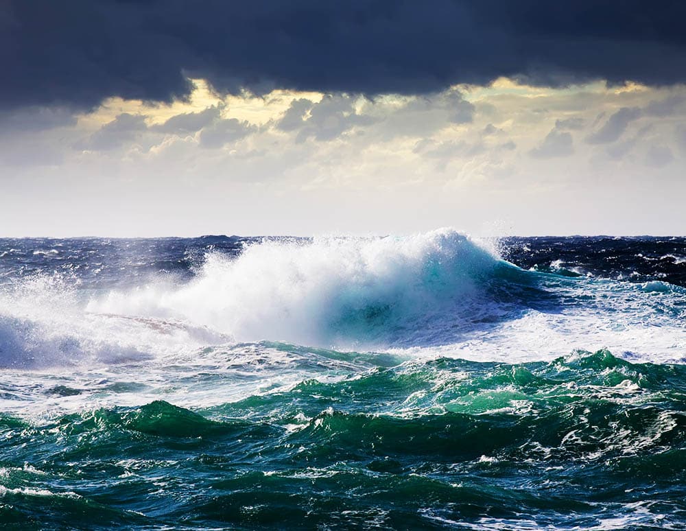 Save Our Seas: Why Protecting our Oceans is the Key to a Healthy Planet
